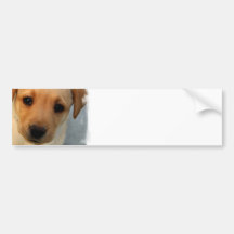 Yellow Lab Puppy Bumper Sticker