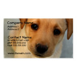 Yellow Lab Puppy Business Card