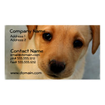 Yellow Lab Puppy Business Card