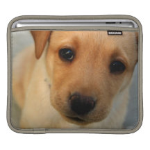 Yellow Lab Puppy iPad Sleeve