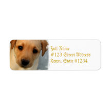 Yellow Lab Puppy Mailing Label