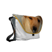 Yellow Lab Puppy Messenger Bag