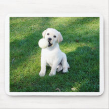 Yellow Lab Puppy Mousepads