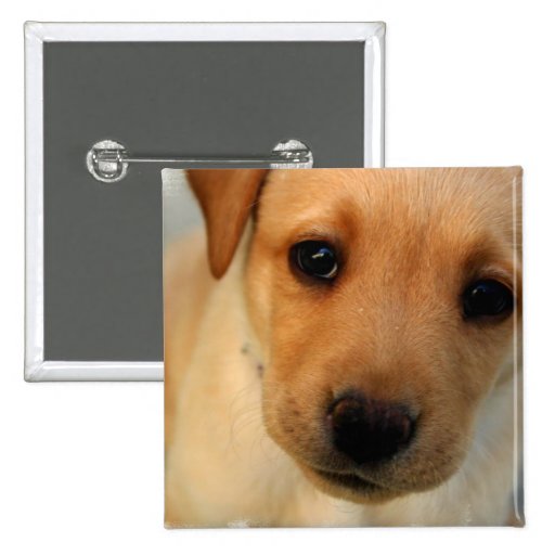 Yellow Lab Puppy Square Pin
