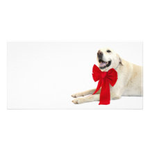 Yellow labrador Christmas Customized Photo Card