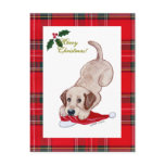 Yellow Labrador Christmas Santa Hat Tartan