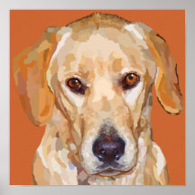 Yellow Labrador Poster 12.5 x 12.5