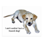 Yellow Labrador Puppy Postcard