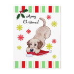 Yellow Labrador Puppy & Santa Hat Christmas