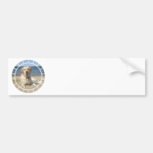 Yellow Labrador Retriever Bumper Stickers