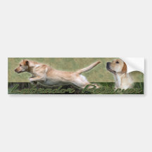 Yellow Labrador Retriever collage Bumper sticker