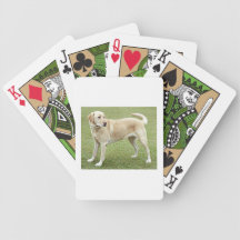 Yellow Labrador Retriever Deck Of Cards