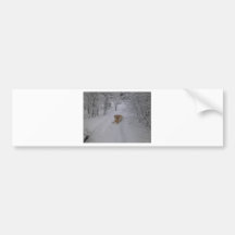 Yellow Labrador Retriever Lying in Fresh Winter Sn Bumper Stickers