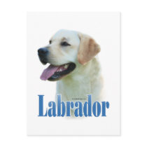 Yellow Labrador Retriever Name