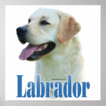 Yellow Labrador Retriever Poster