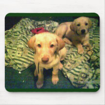 Yellow labrador retriever puppies mouse pad