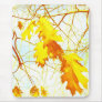 Yellow leaves