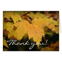 Yellow Leaves - Thank you! Greeting Card