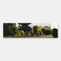 yellow Levens Hall, Cumbria, England flowers bumper stickers