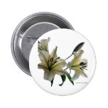 Yellow Lilies on White Buttons