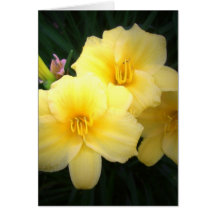 Yellow Lillies Cards