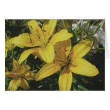 Yellow Lillies Note Card