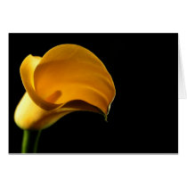Yellow Lilly Card