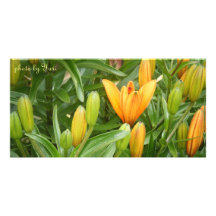 Yellow Lily Custom Photo Card