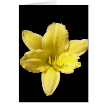 Yellow Lily Greeting Card