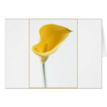 Yellow Lily Greeting Card