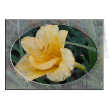 Yellow Lily Greeting Card