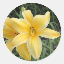 Yellow Lily Round Sticker