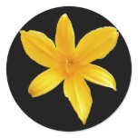 Yellow Lily sticker