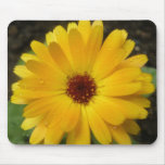 Yellow Marigold Macro Mousepad