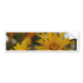 Yellow Milkweed Bumper Sticker