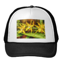 Yellow Miltassia Orchids Mesh Hats