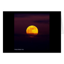 Yellow Moon Cards