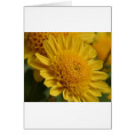 Yellow Mums Flowers Card