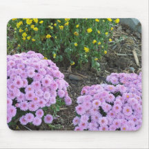 Yellow Mums, Lavendar Mums, Mousepad