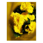 Yellow Mums Postcard