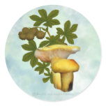 Yellow Mushrooms with seed pods stickers