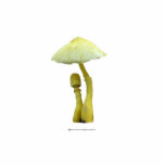 Yellow Mushrooms with tiny blue flowers Sculpture Photo Sculptures