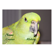 Yellow-Naped Amazon Parrot Business Card