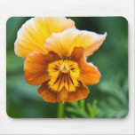 Yellow/Orange Pansy Mousepad