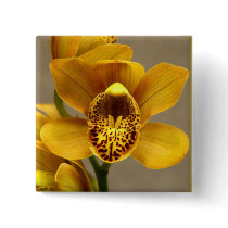 Yellow Orchid button