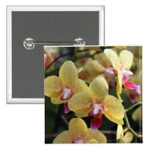 Yellow orchid flowers buttons