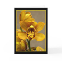 Yellow Orchid greeting card