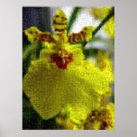 Yellow Orchid Montage Posters