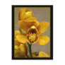 Yellow Orchid postcard