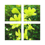 Yellow Orchids Wrapped Canvas canvas prints